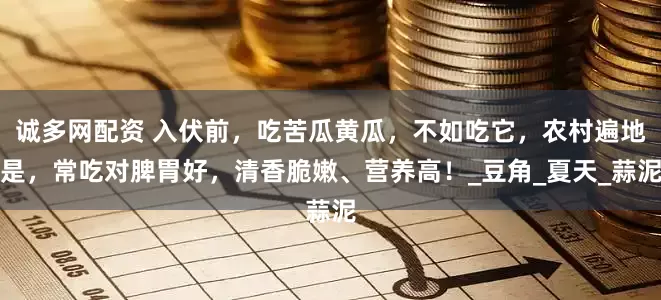 诚多网配资 入伏前，吃苦瓜黄瓜，不如吃它，农村遍地是，常吃对脾胃好，清香脆嫩、营养高！_豆角_夏天_蒜泥