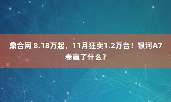 鼎合网 8.18万起，11月狂卖1.2万台！银河A7卷赢了什么？